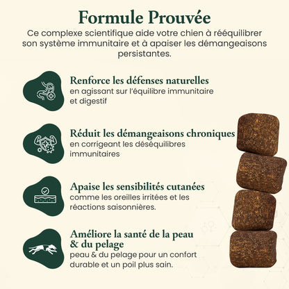 Immunité & démangeaisons