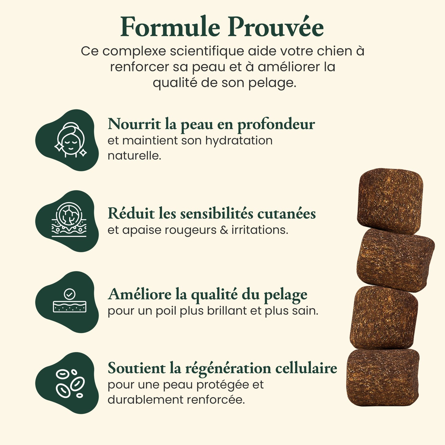 Peau & pelage