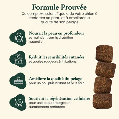Peau & pelage