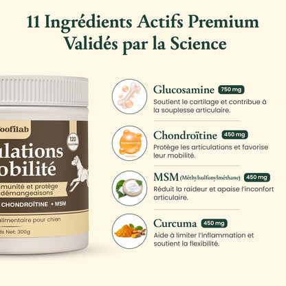 Articulations & mobilité
