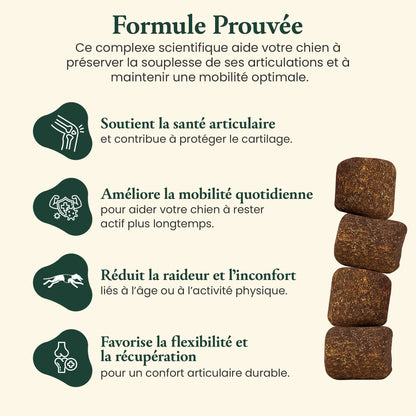 Articulations & mobilité