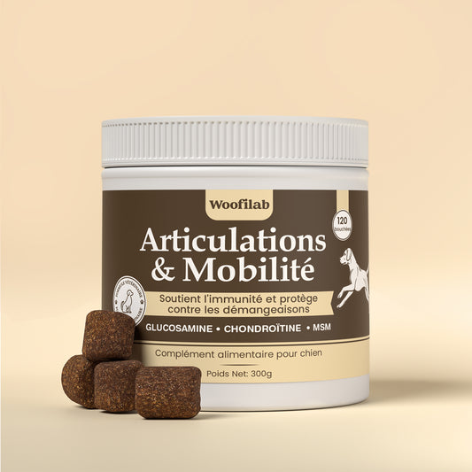 Articulations & mobilité