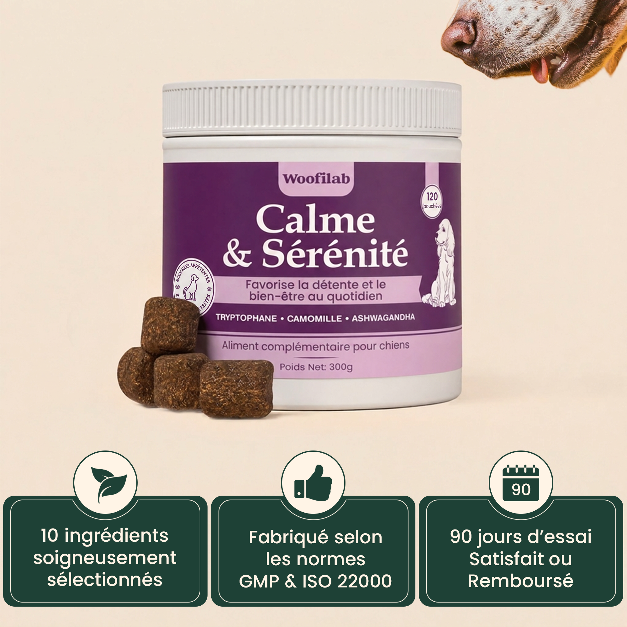 Calme & Sérénité