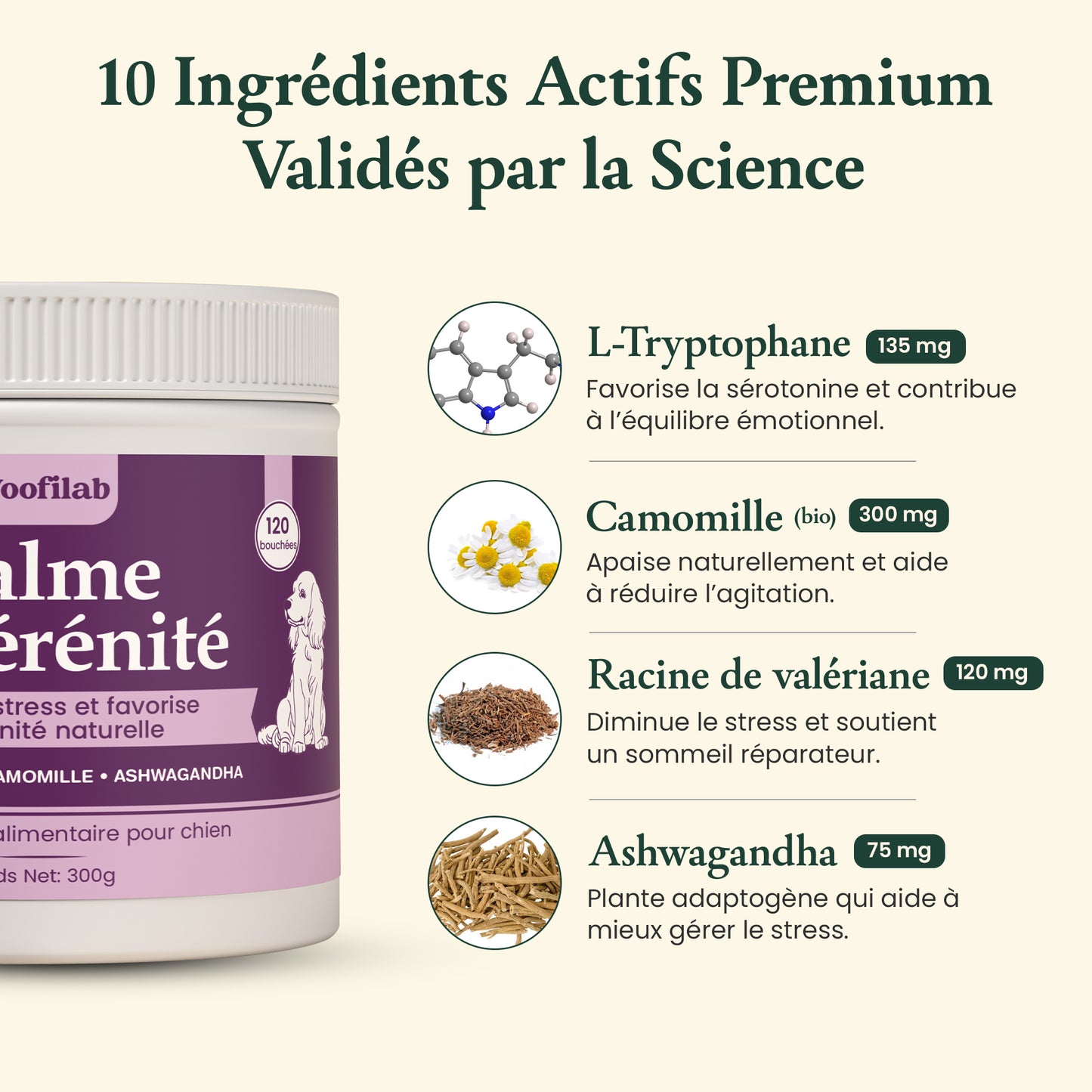 Calme & sérénité