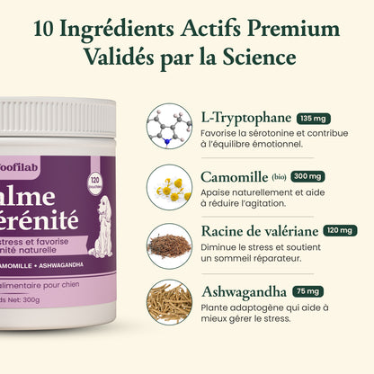 Calme & sérénité