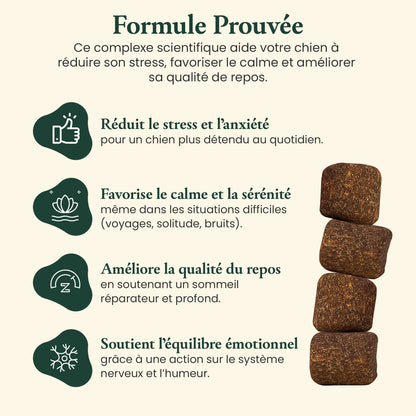 Calme & sérénité