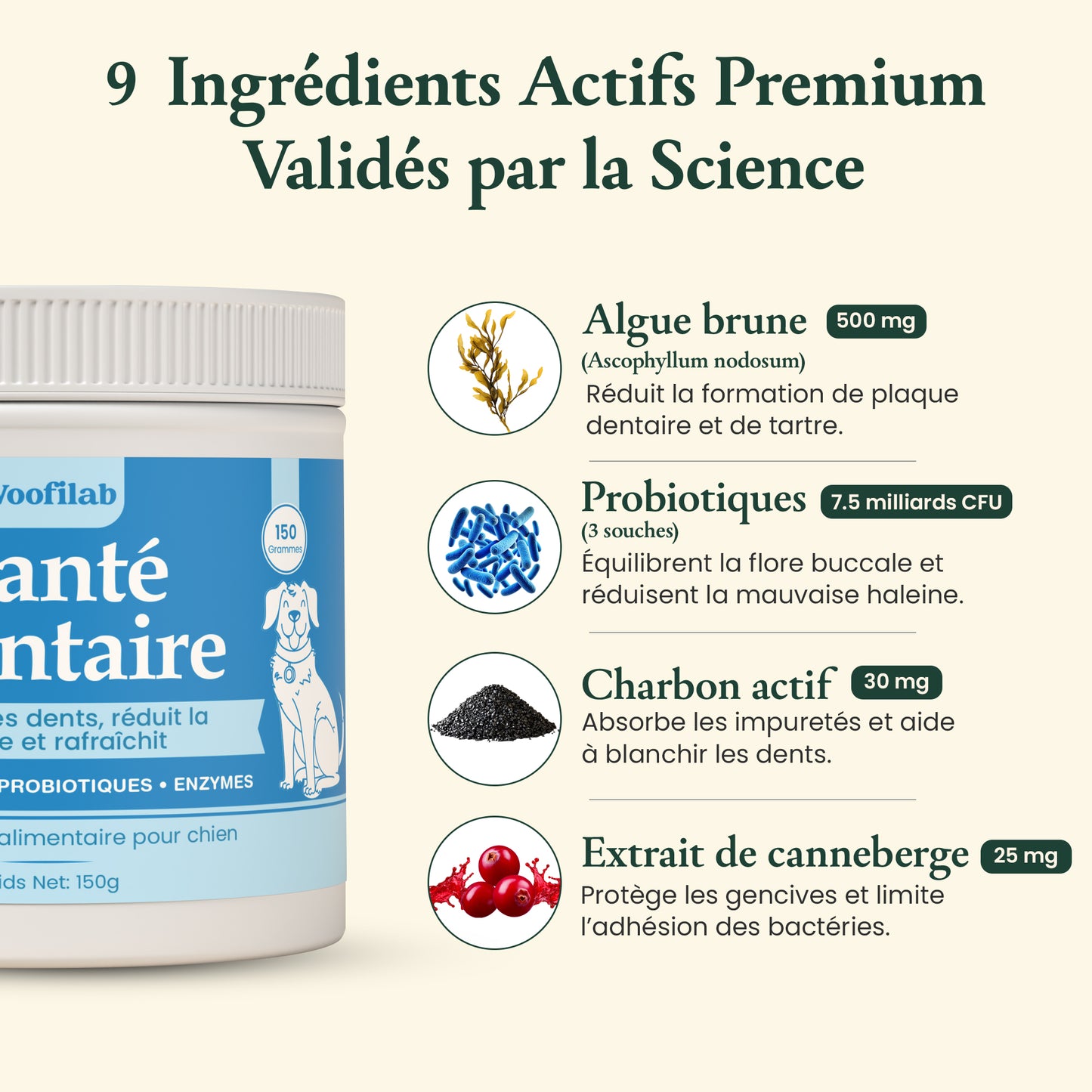 Santé Dentaire