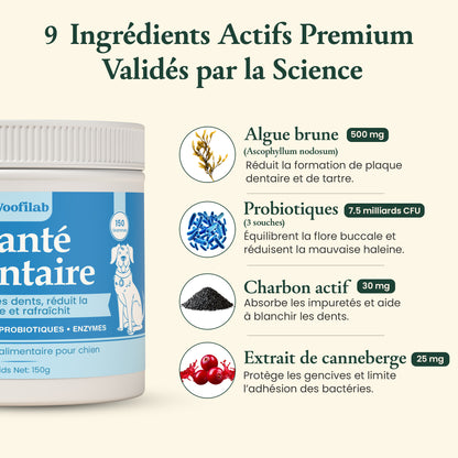 Santé Dentaire