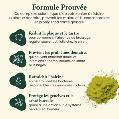 Santé Dentaire