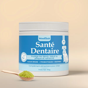 Santé Dentaire