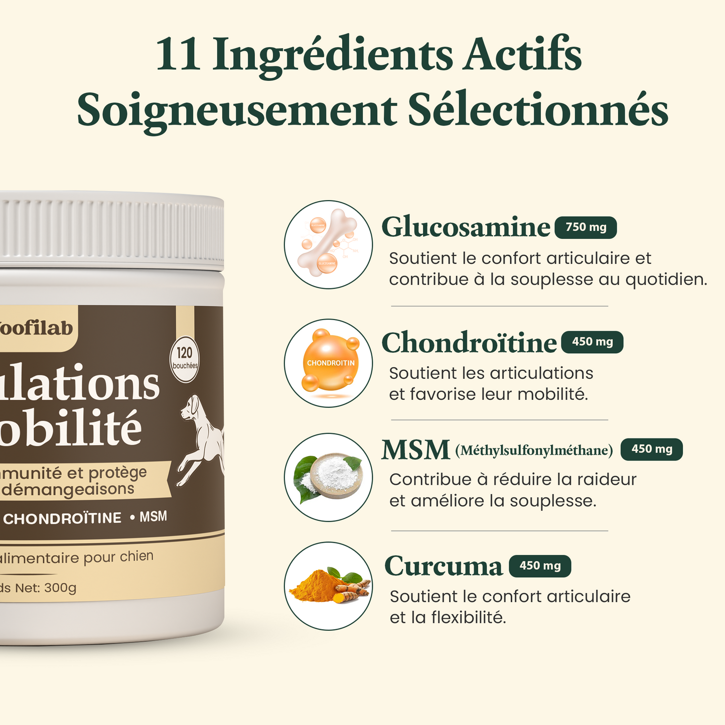 Articulations & mobilité