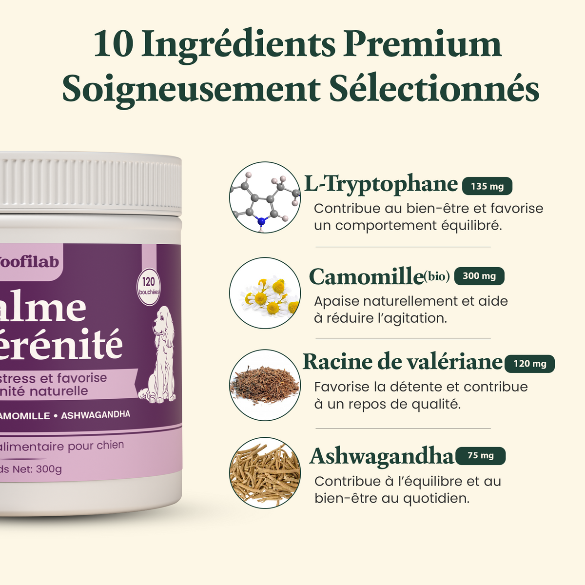 Calme & Sérénité