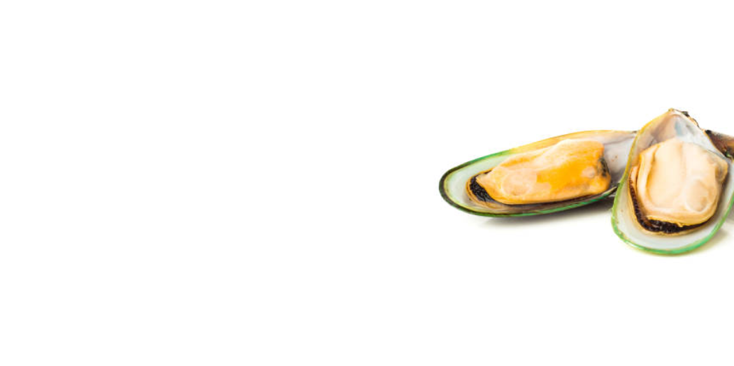 Moule Verte