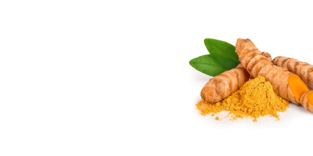 Curcuma Bio