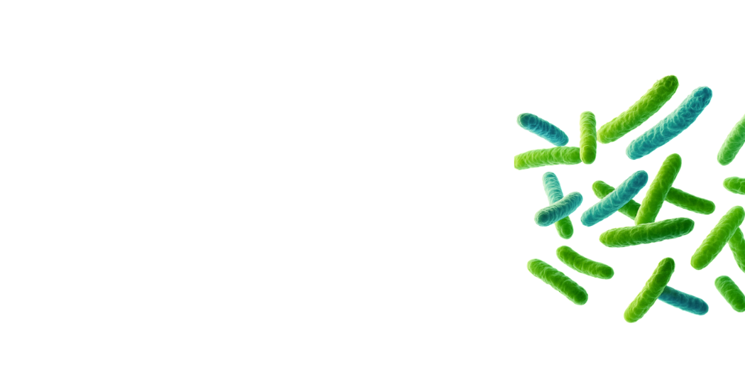 Probiotiques (3 souches)