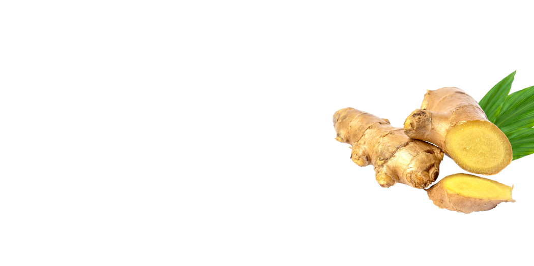Gingembre