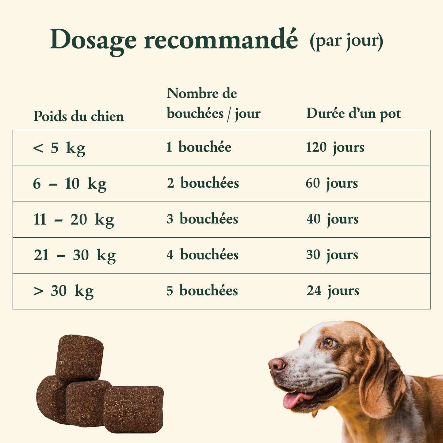 Peau & pelage
