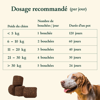 Peau & pelage