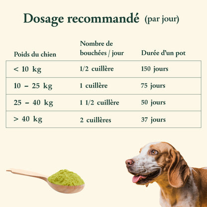 Santé Dentaire