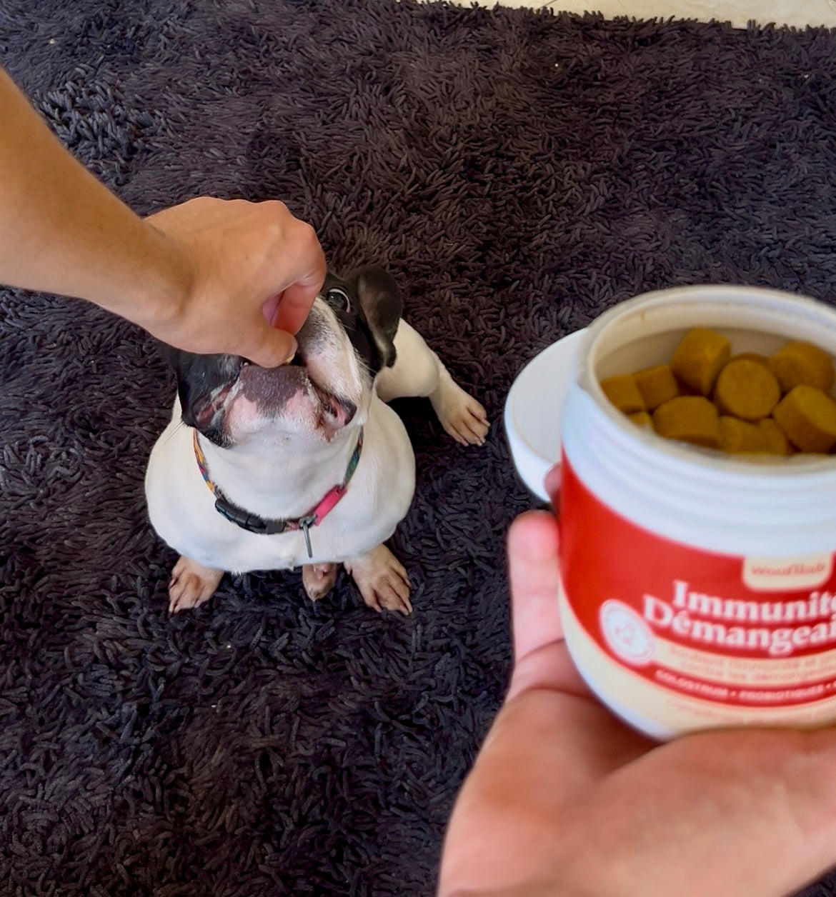 Des actifs ciblés pour des résultats concrets