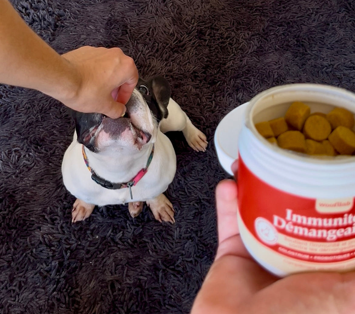 Bouchées Naturelles. Améliorations Durables.