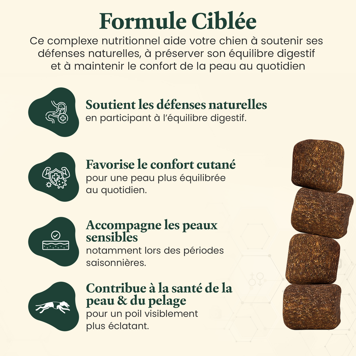 Immunité & démangeaisons