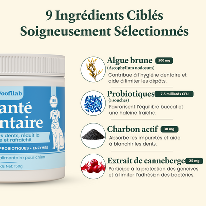 Santé Dentaire