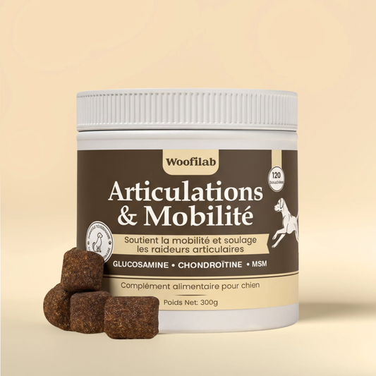 Articulations & mobilité